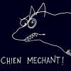 flum_11_chien-mechant